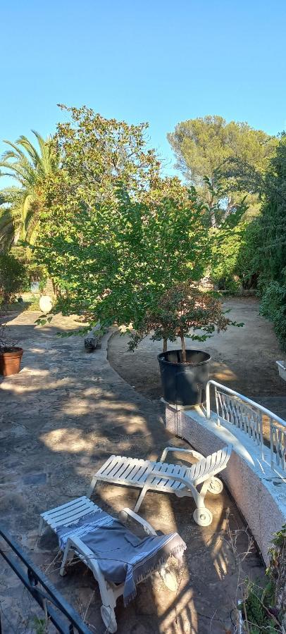 Appartement Et Sa Grande Terrasse En Rez De Jardin Saint Aygulf Zewnętrze zdjęcie